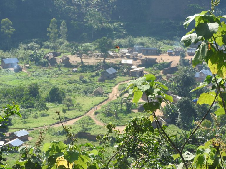 Buloho