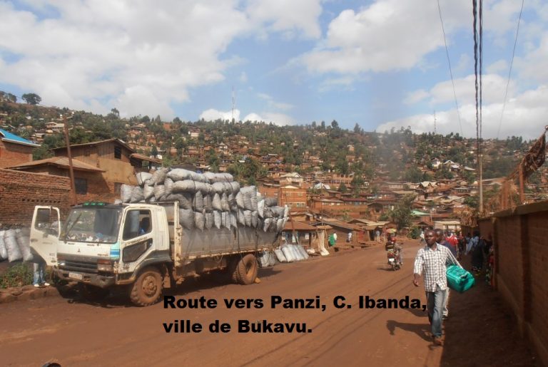 Panzi