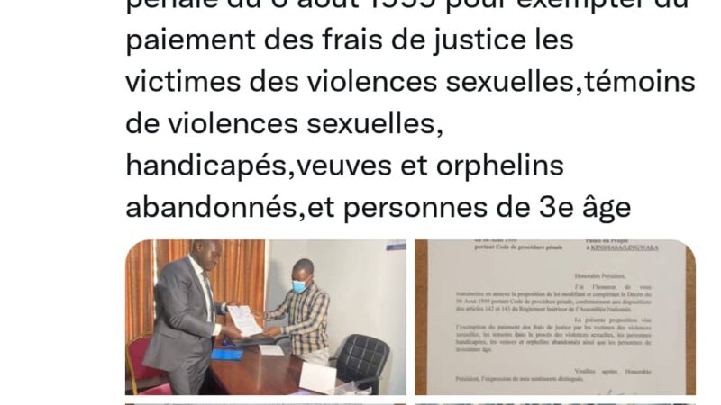Sud-Kivu : La proposition de loi exemptant les survivantes des violences sexuelles des frais de justice, un plus pour la réparation et la lutte contre les violences sexuelles