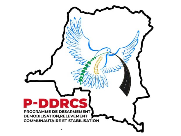 Sud-Kivu: La dynamique des organisations de la société civile pour la paix en province appelle à la cohésion autour du P-DDRCS en évitant des propos de haine et de division
