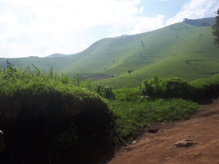 20201207110024451399-Masisi3