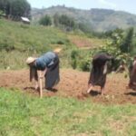 Les-agriculteurs-1