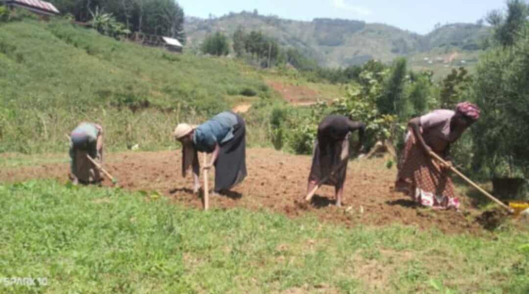 Les-agriculteurs-1