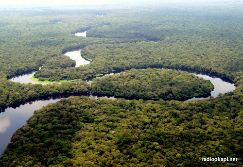 Rivière dans le parc national de la Salonga, Équateur, 2005.